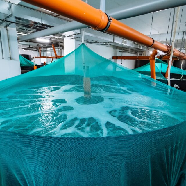 désinfection eau aquaculture-min