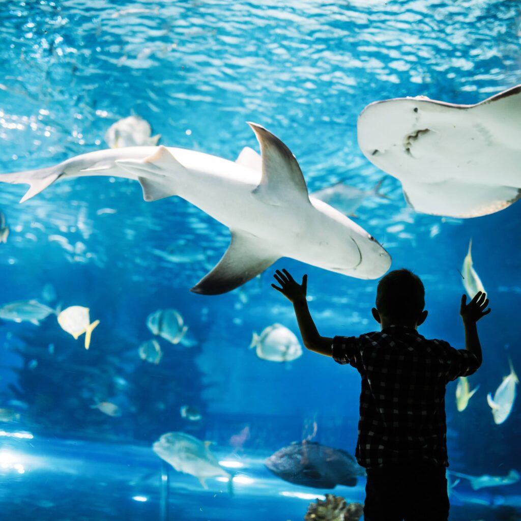 water treatment-aquarium