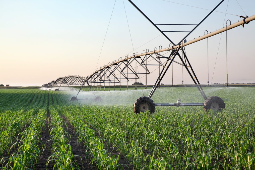 arrosage blé irrigation