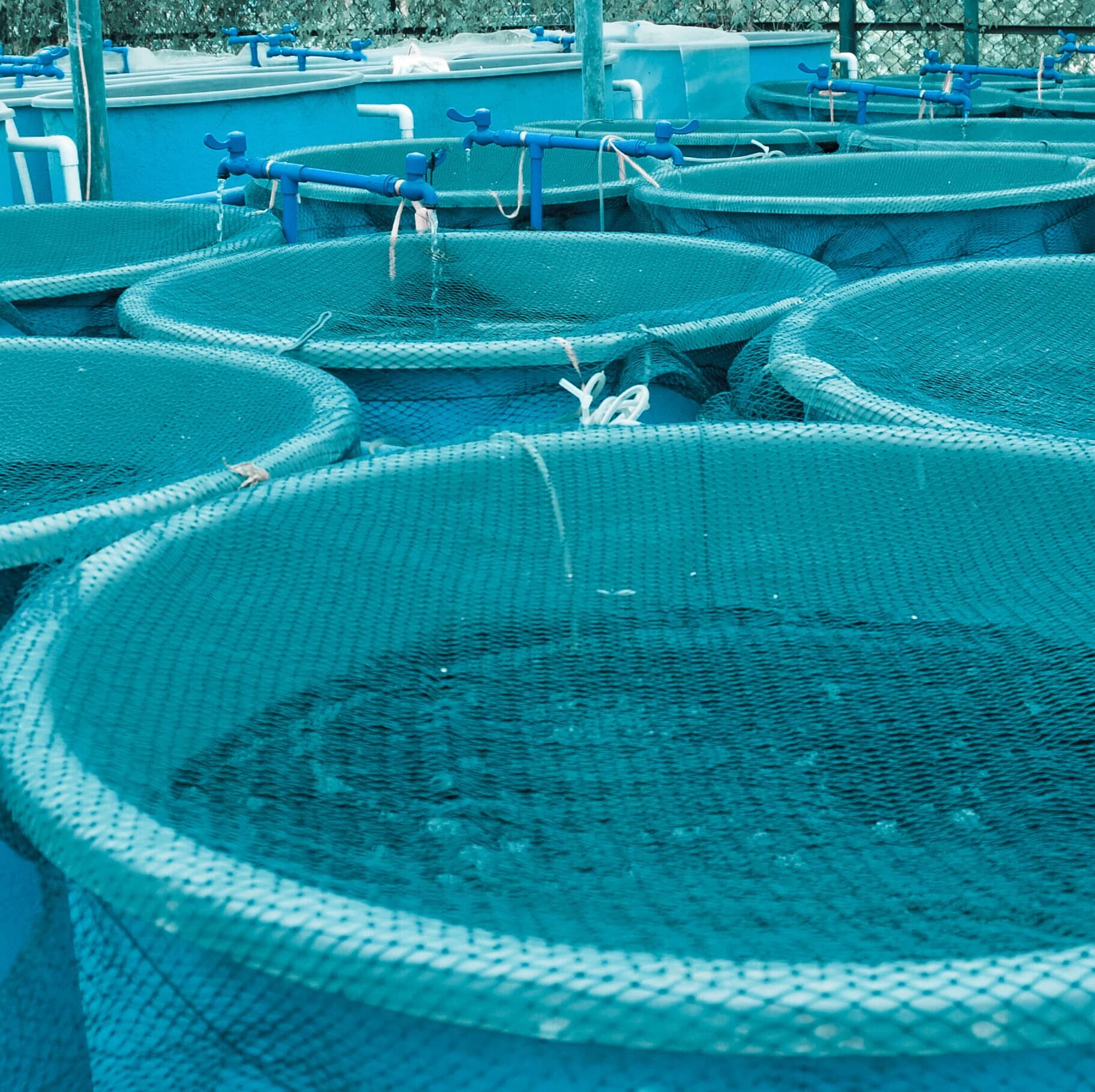 aquaculture water treatment