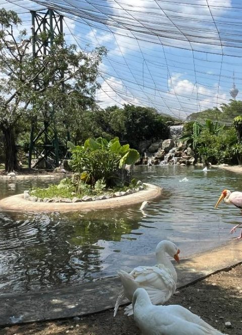 bird park